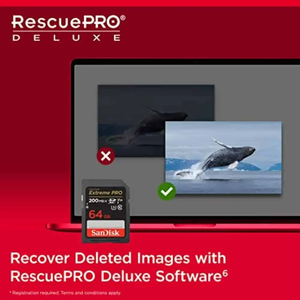 Ripristino immagini cancellate con RescuePRO Deluxe software di recupero dati.