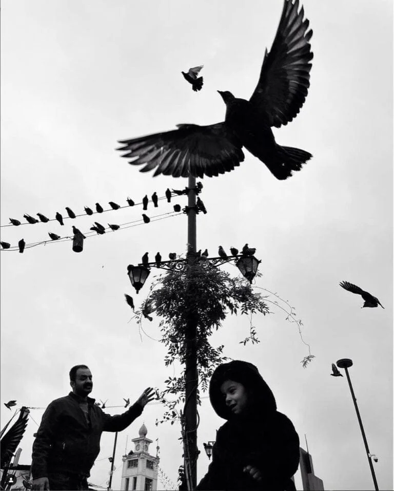 Uccelli in volo e persone in strada, scena urbana in bianco nero, fotografia artistica e street photography.