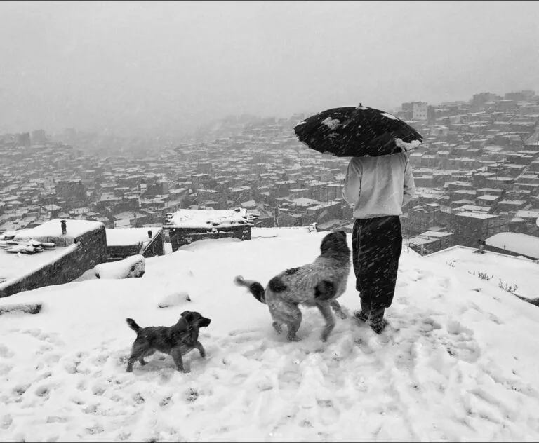 Neve su una città, persona con ombrello e due cani, panorama urbano in bianco e nero.