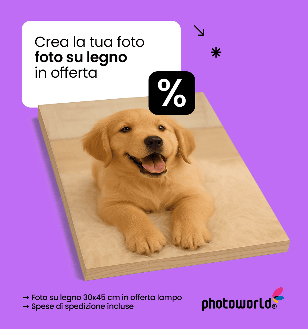 1. Cagnolino su tavola di legno, stampa personalizzata, vendita online Italia.