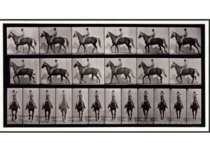 Fotografia storica di cavalli e cavalieri in sequenza, in bianco e nero.