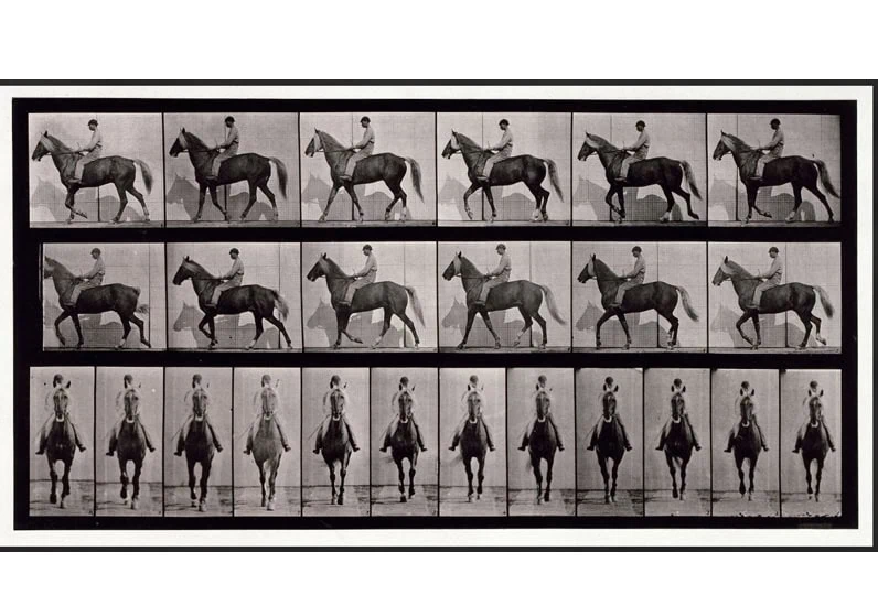 Fotografia storica di cavalli e cavalieri in sequenza, in bianco e nero.